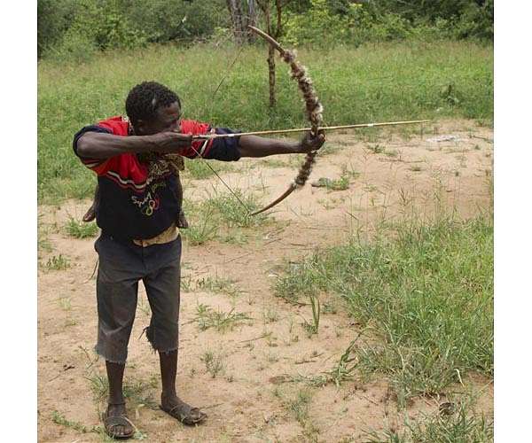 Tanzanian bow-and-arrow hunters offer insight on evolution of technology