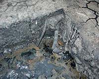 New Petroleum-Degrading Bacteria Found At Rancho La Brea Tar Pits in Los Angeles