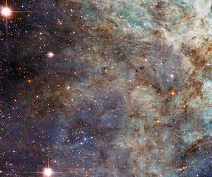 Hubble's Close Encounter with the Tarantula