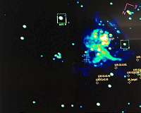 Overabundance of massive stars in the Tarantula Nebula