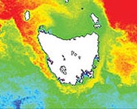 UNESCO says all of Tasmanian forest to stay protected