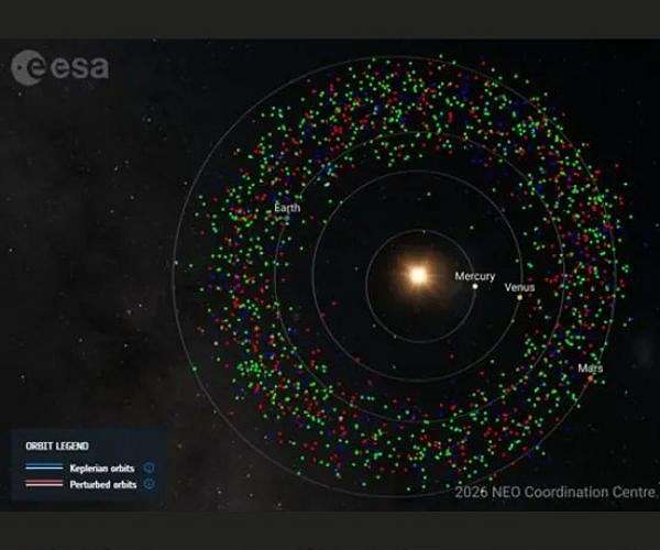 Survey of 80 near Earth asteroids sharpens view of their origins and risks