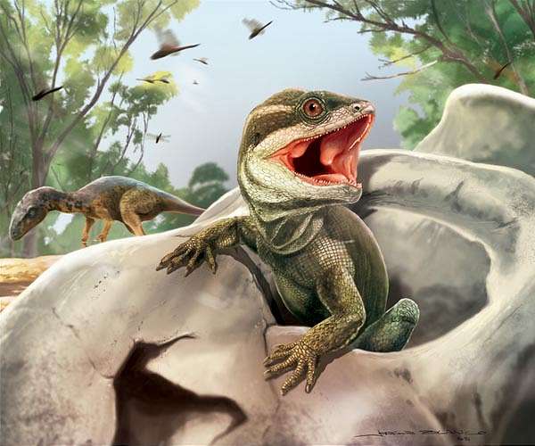 The dawn of modern reptiles