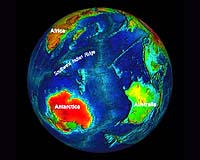 Continental drift to thank for coral reef biodiversity