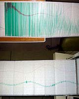 Earth Is Still Ringing From Quake