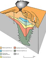 New Technology For New Exploration Of Hydrothermal Vents