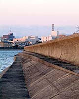 Homes Evacuated In Japan As Quake Triggers Tsunami Alert