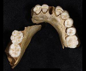 Neandertals faced extinction before the arrival of modern humans