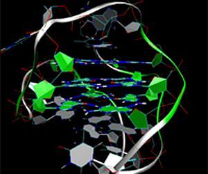 Researchers successfully map fountain of youth