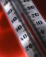 Dutch Bask In Warmest Autumn In Three Centuries