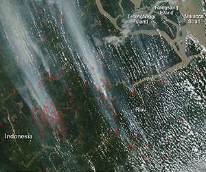 Illegal Fires Set in Indonesia Cause Smog Problem