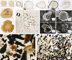 200,000-year history of continental shelf from Okinawa Trough deep-sea core