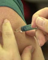 VaxGen Smallpox Vaccine Promising In Mice