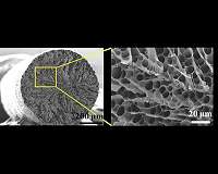 New textile could keep you cool in the heat, warm in the cold