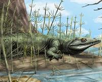 Paleontologists discover 250-million-year-old new species of reptile in Brazil