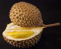 Final Fruit-ier: Thailand sends smelly durian into space