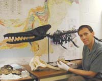How Ancient Whales Lost Their Legs Got Sleek And Conquered The Oceans