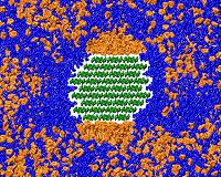 Unraveling the science behind biomass breakdown