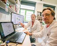How enzymes produce hydrogen