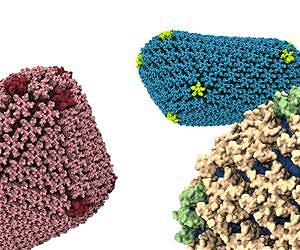 Cracking the Code of HIV; Providing An Up-Close View of the Enemy