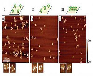 The shape of things to come: NIST probes the promise of nanomanufacturing using DNA origami