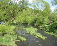 Study shows streams are reliable indicators of a region's environmental health