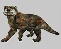 Marsupial Lion Tops African Lion In Fight To Death