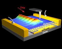 On-chip observation of THz graphene plasmons