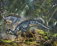 Feathers fly over new dinosaur find