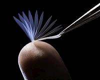 Groundbreaking new reusable adhesive works underwater
