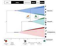 A timescale for the origin and evolution of all of life on Earth