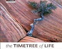 Timetree Of Life