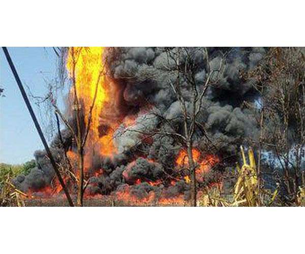 Hundreds evacuated by sea as wildfire reaches Turkish power plant