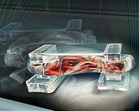 Muscle-powered bio-bots walk on command