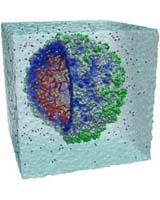 Visualizing Viruses