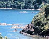 Resilience Concepts Poised To Aid Management Of Coastal Marine Ecosystems