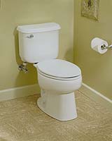 Toilets, A Global Health And Environmental Issue