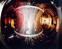 Honey, I Blew Up The Tokamak