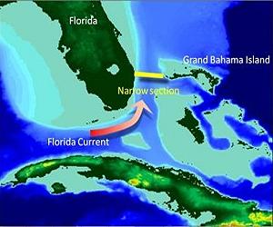 UF Pine Island Pollen Study Leads To Revision Of State's Ancient Geography