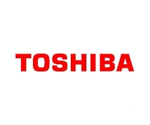 Turkey to invite Toshiba for nuclear plant talks: report