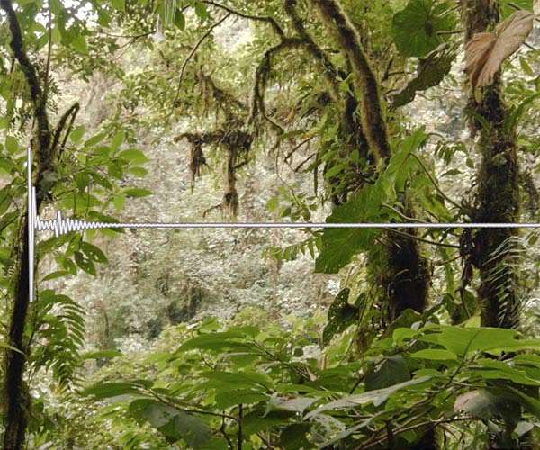 Germany says ready to resume Brazil deforestation aid after Lula victory
