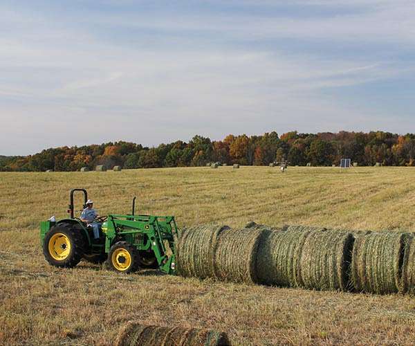 Helping farmers, boosting biofuels