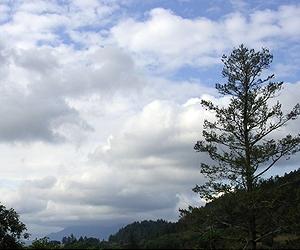 Research shows pollution doesn't change the rate of droplet formation