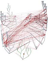 Trees, Vines And Nets - Microbial Evolution Changes Its Face