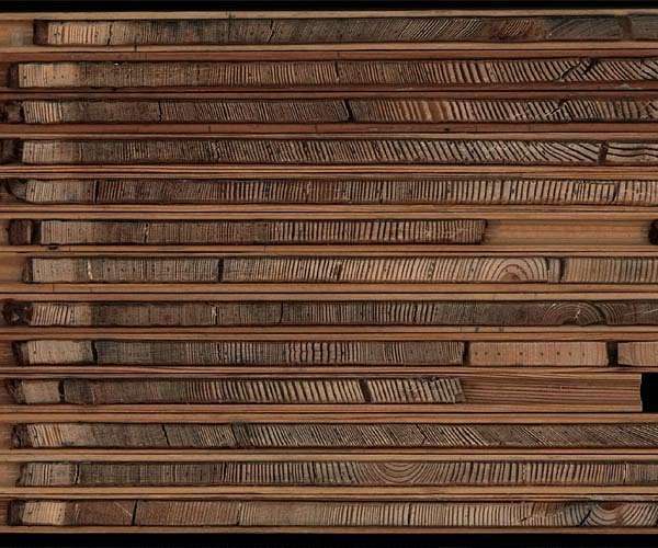 Soils in old-growth treetops can store more carbon than soils under our feet