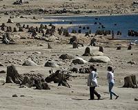 Businesses struggle on drought-hit Californian lake