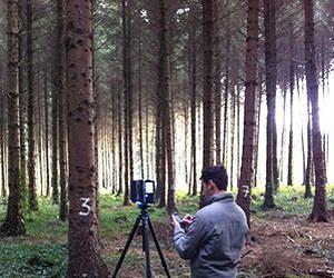 Trees tell their own story to satellites