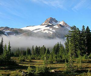 Mountain meadows dwindling in the Pacific Northwest