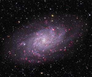 Magnetic Fields Set the Stage for Star Birth