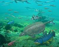 Life goes on for marine ecosystems after cataclysmic mass extinction